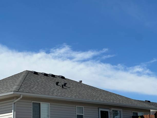 Best Green or Eco-Friendly Roofing Solutions  in Channel Lake, IL